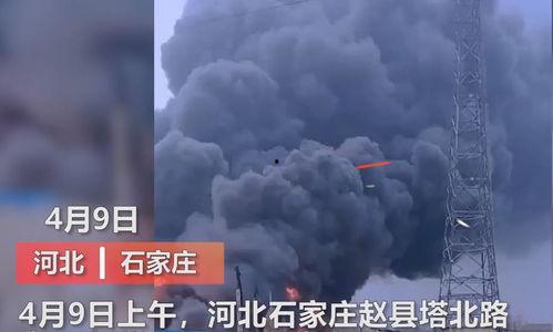 海丰月亮爆料视频大全最新,揭秘神秘事件背后的真相  第3张