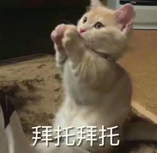 网红吃瓜事件视频,揭秘幕后真相与网络舆论风暴  第3张