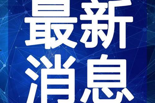 西港狠人爆料视频最新消息,最新劲爆内幕揭露