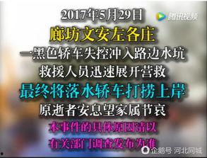 文安网友爆料视频大全下载,精彩瞬间一网打尽