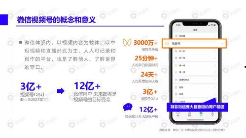 文安网友爆料视频大全下载,精彩瞬间一网打尽 第3张 文安网友爆料视频大全下载,精彩瞬间一网打尽 第3张
