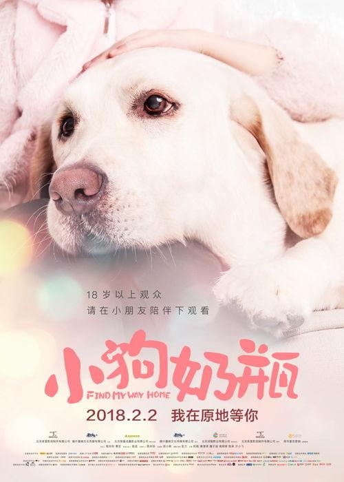 小狗奶瓶在线观看,温馨治愈的宠物成长记  第2张